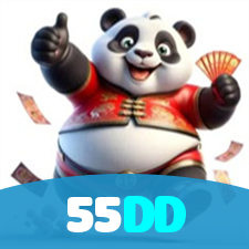 55DD visual
