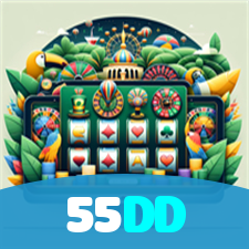 55DD visual