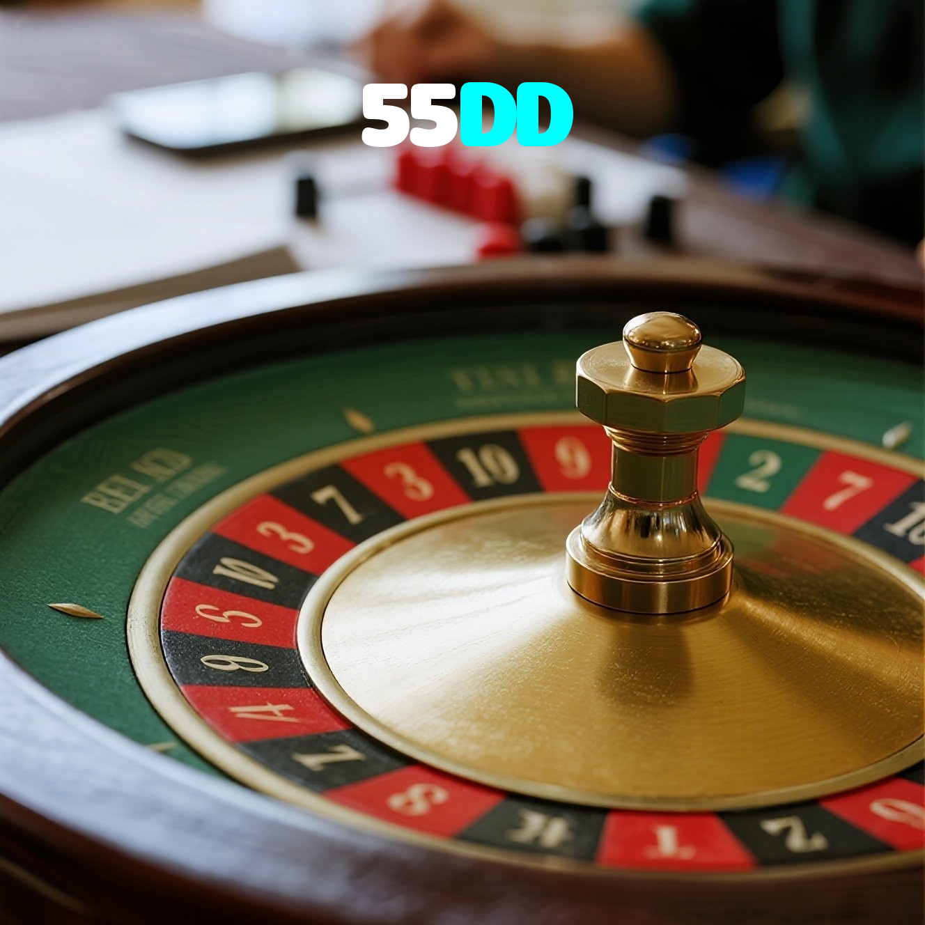 55DD visual