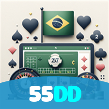 55DD visual