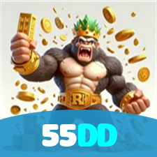 55DD visual