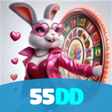 55DD visual