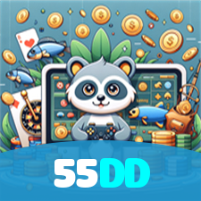 55DD visual