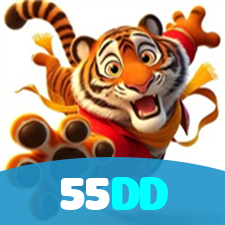 55DD visual