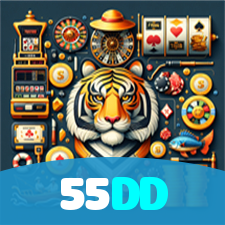 55DD visual