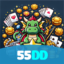 55DD visual
