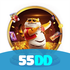 55DD visual