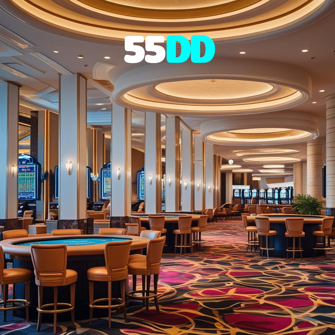 55DD visual