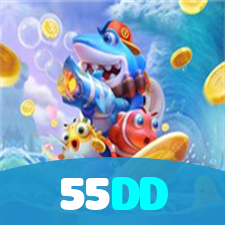 55DD visual