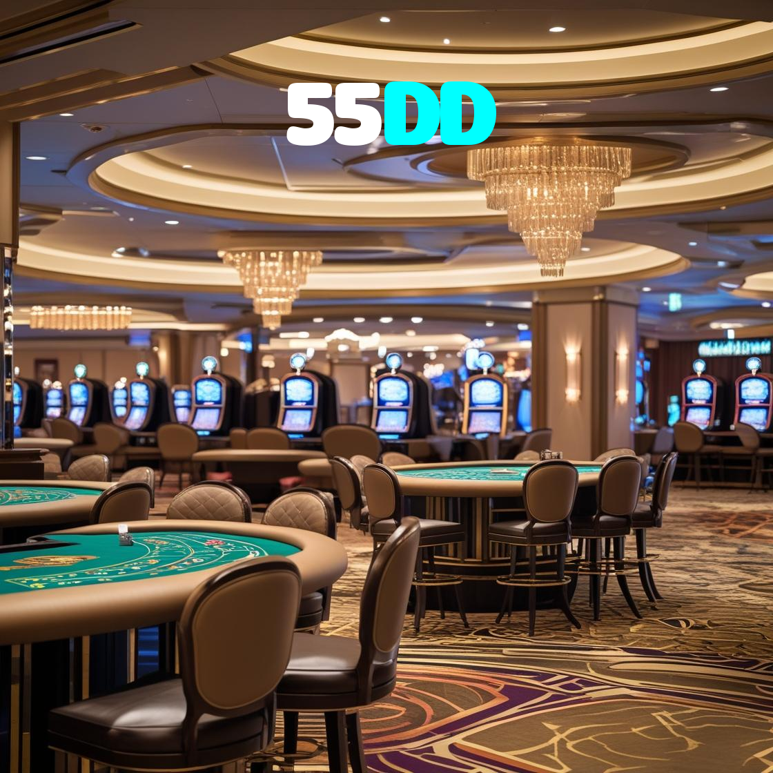 55DD visual