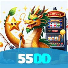 55DD visual