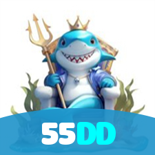 55DD visual