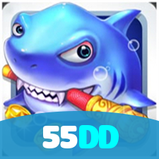 55DD visual