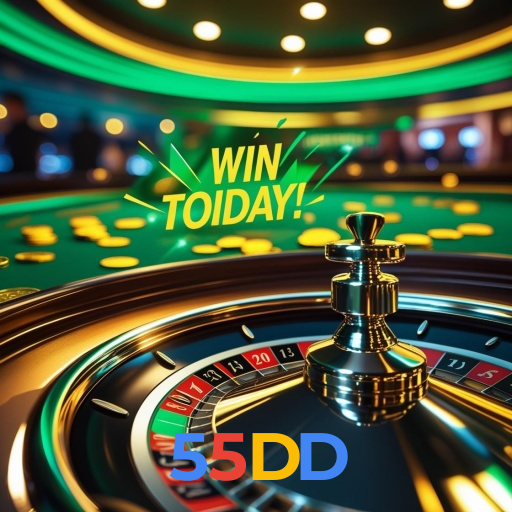 55DD visual