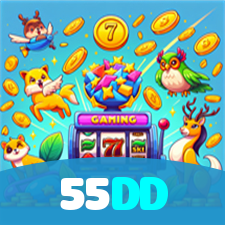 55DD visual