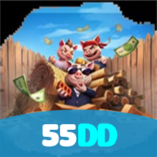 55DD visual