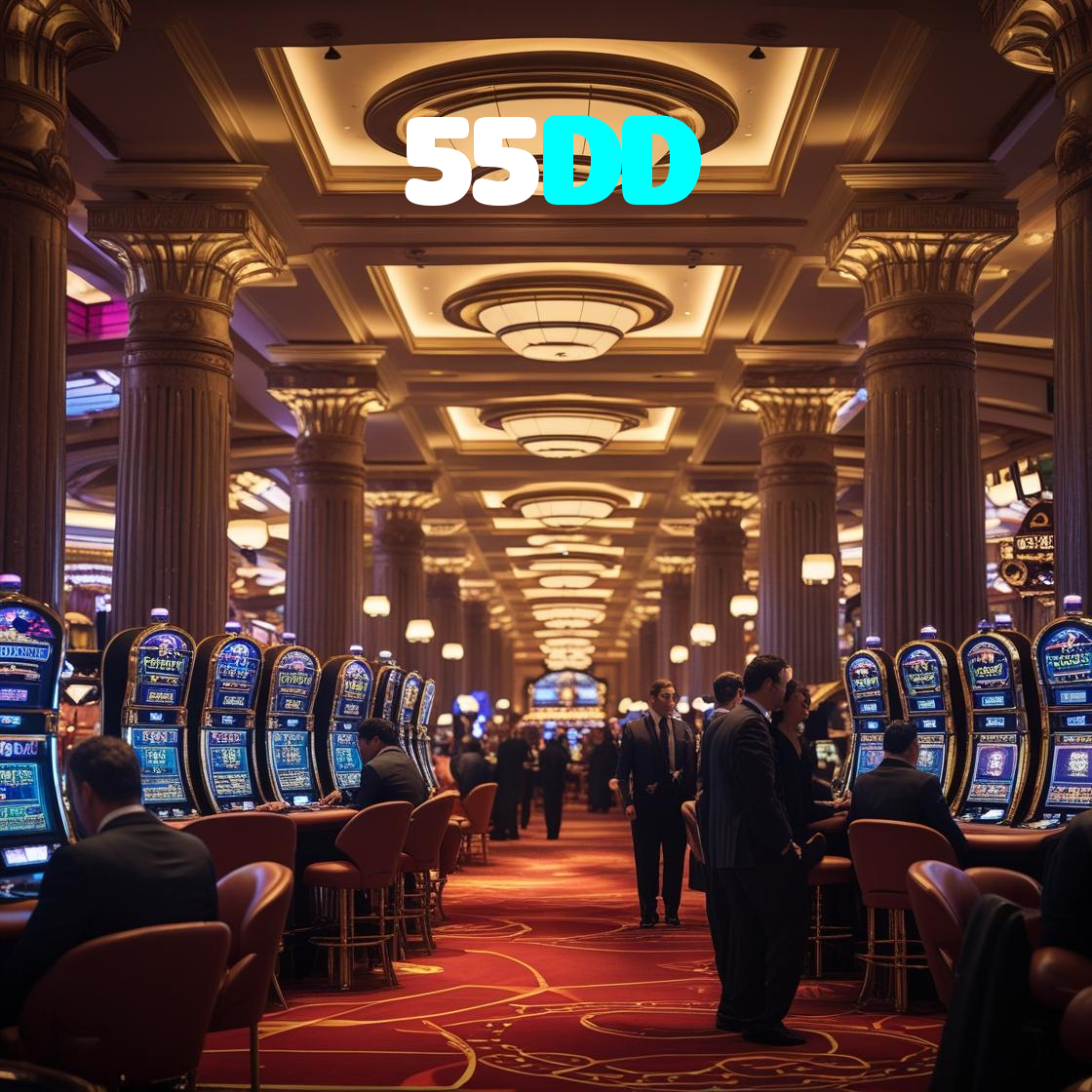 55DD visual