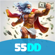 55DD visual
