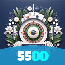 55DD visual