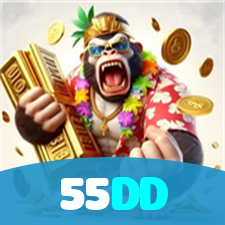 55DD visual