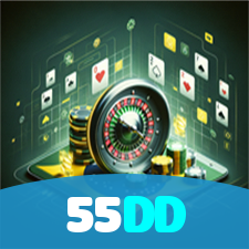 55DD visual
