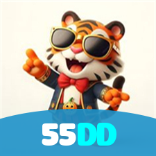 55DD visual