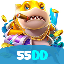 55DD visual