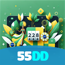 55DD visual