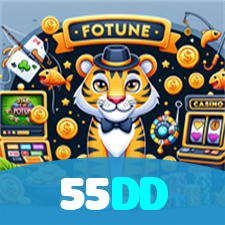 55DD visual