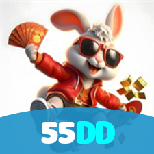 55DD visual