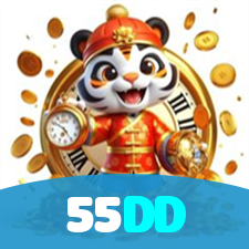 55DD visual