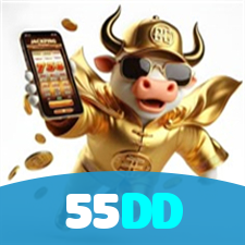 55DD visual