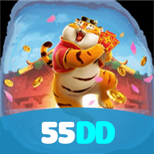 55DD visual