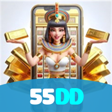 55DD visual