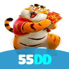 55DD visual