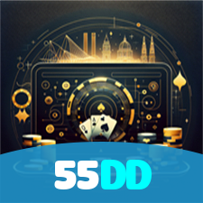 55DD visual