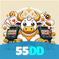 55DD visual