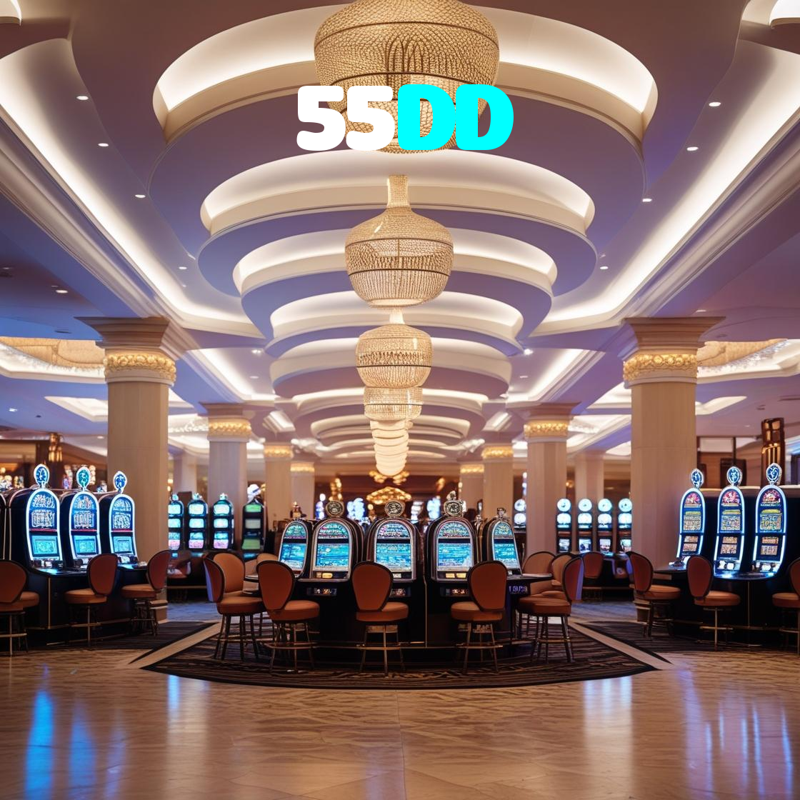 55DD visual