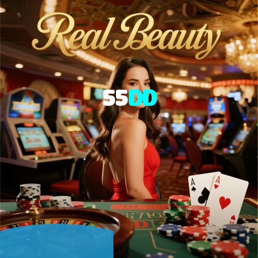 55DD visual