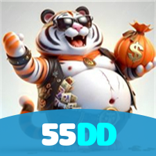 55DD visual