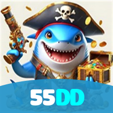 55DD visual