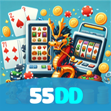 55DD visual