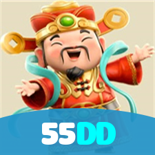 55DD visual