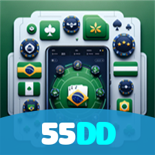 55DD visual