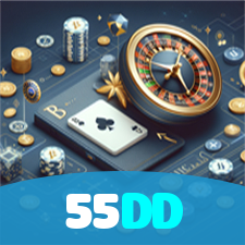 55DD visual