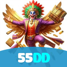 55DD visual