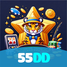55DD visual