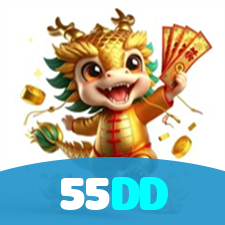 55DD visual