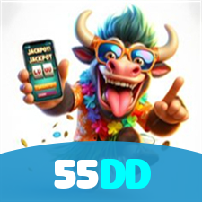 55DD visual
