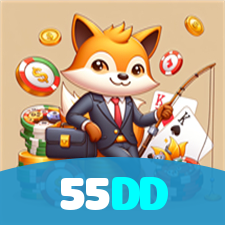 55DD visual